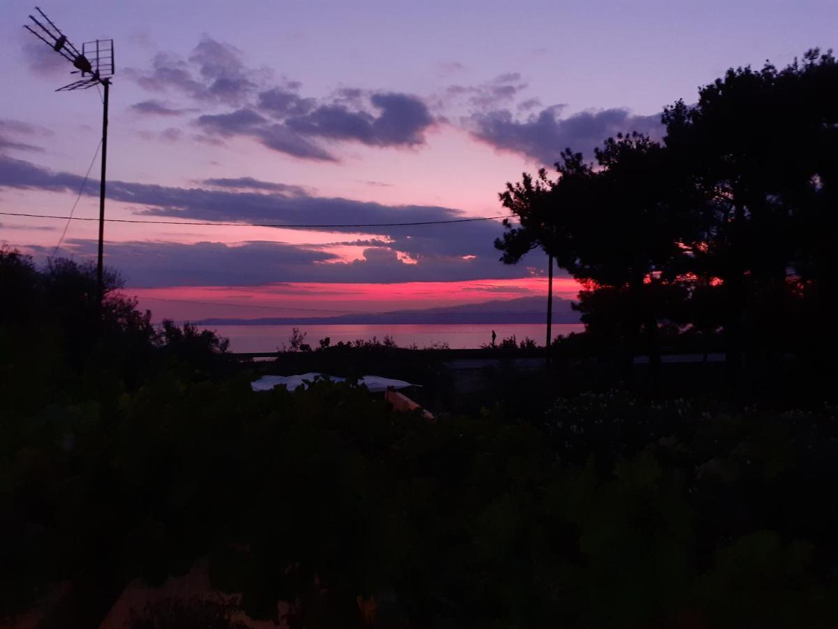 Το Σπίτι Με Το Πηγάδι - Wellcottage Thassos Skála Kallirákhis Exterior foto