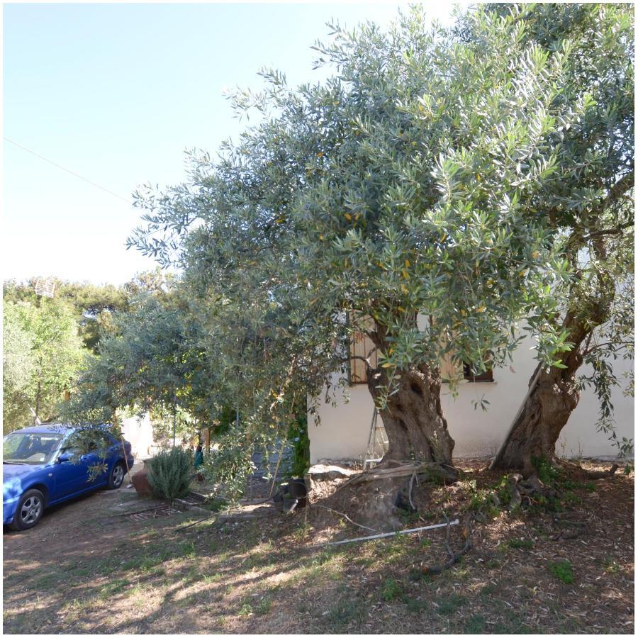 Το Σπίτι Με Το Πηγάδι - Wellcottage Thassos Skála Kallirákhis Exterior foto